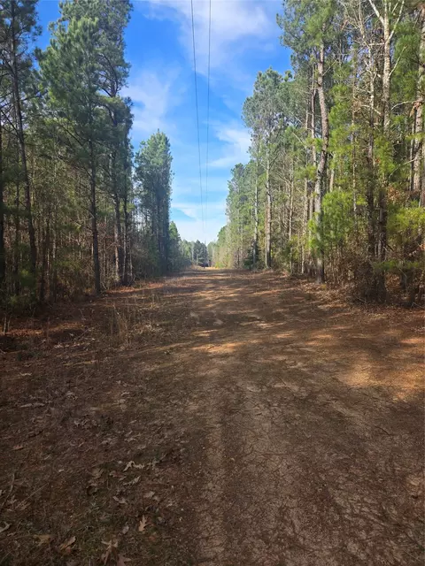 0 Line Rd, Homer, LA 71040 photo 2