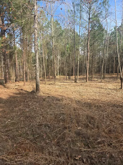 0 Line Rd, Homer, LA 71040 photo 3