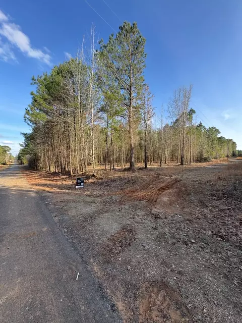 0 Line Rd, Homer, LA 71040 photo 4