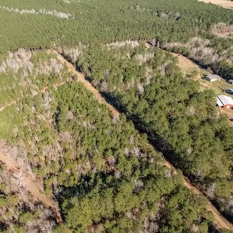 0 Line Rd, Homer, LA 71040 photo 5