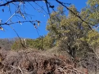 0 Cr 1176, Santa Anna, TX 76878