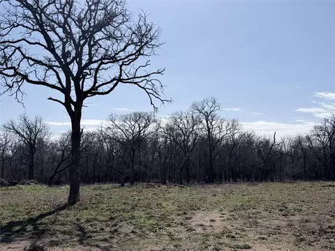 lot12 Lakewood Dr, Whitney, TX 76692