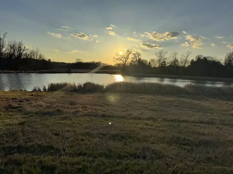 7240 E Hwy 294, Elkhart, TX 75839