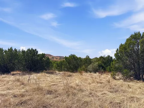 lot8 Ph 5 Flint Rock Court Rd, Evant, TX 76525