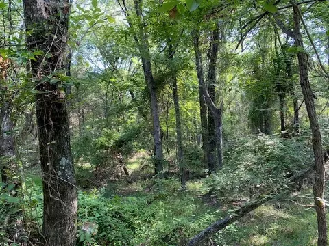 Tr 3-a Cr 41514, Athens, TX 75751