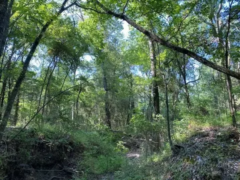 Tr 4-b Cr 41514, Athens, TX 75751