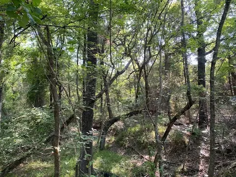 Tr 3-b Cr 41514, Athens, TX 75751