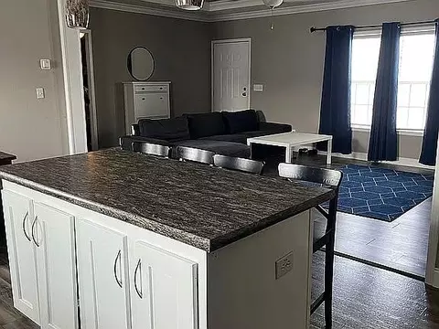 40 Eagle Creek 244 Dr, Kyle, TX 78640 photo 10