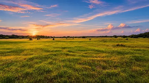 tbd County Road 310, Jonesboro, TX 76585