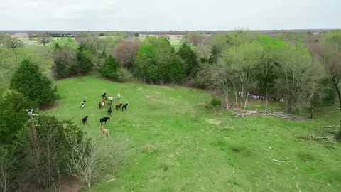 14699 Barfield Ln, Kaufman, TX 75142