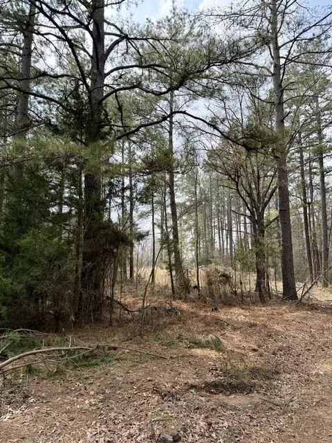 0 Belle Bower Texas Line Rd, Logansport, LA 71049