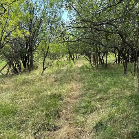 Tract 19 Ac Cr 150, Abilene, TX 79601