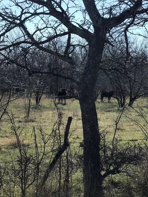 tbd 14 Acres Winn Rd, Collinsville, TX 76233