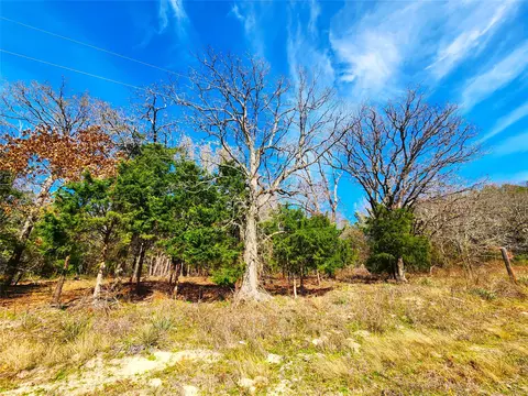 lot463 Us-175, Larue, TX 75770