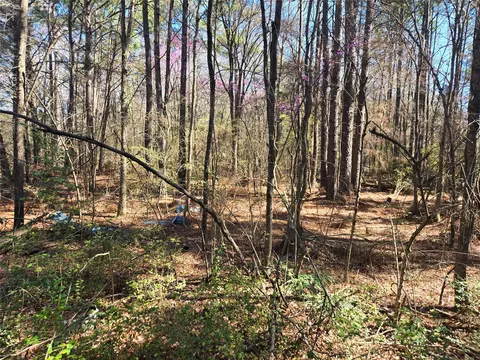 0 Linton Rd, Benton, LA 71006 photo 12