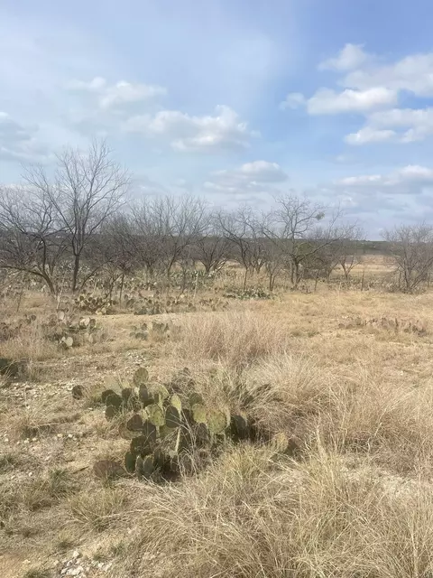 tbd County Road 221, Brookesmith, TX 76827