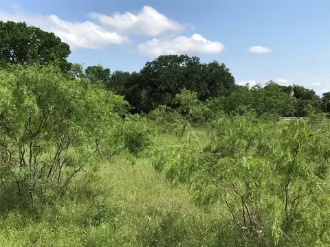 17061 Trailwood Dr, Whitney, TX 76692