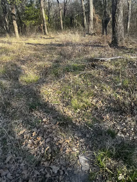 117 Inca Trl, Mabank, TX 75156