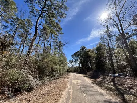 lot35 N Friar Tuck Dr, Woodville, TX 75979