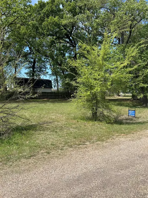 163 Navajo, Quitman, TX 75783