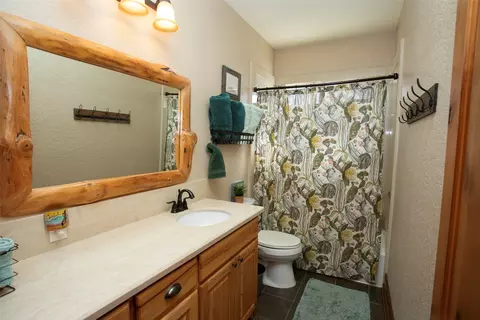 Bath - 880 Cliffs Dr, Graford, TX 76449 photo 3 of 4