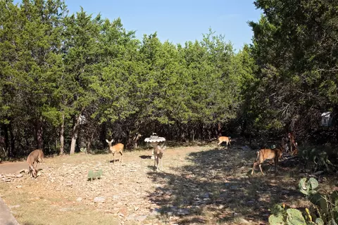 Exterior - 880 Cliffs Dr, Graford, TX 76449 photo 4 of 10