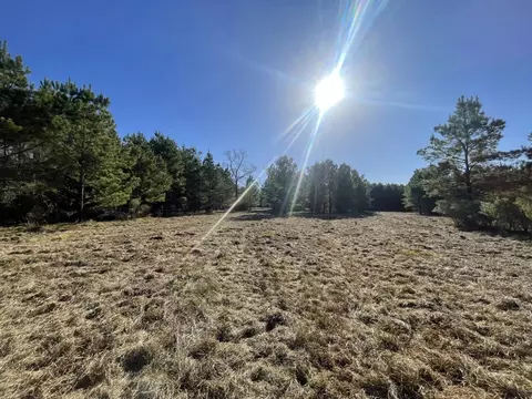 lot4 E Fm 942, Corrigan, TX 75934