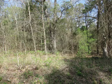 tbd County Road 2958, Alba, TX 75410
