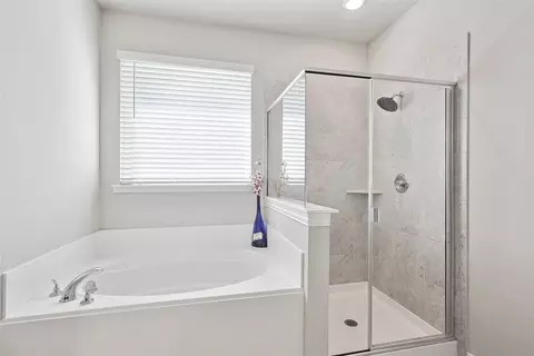 Bath - 808 Feather Edge, Springtown, TX 76082 photo 2 of 5