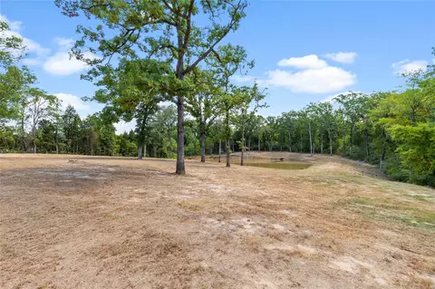 7204 Lance, Eustace, TX 75124 photo 8