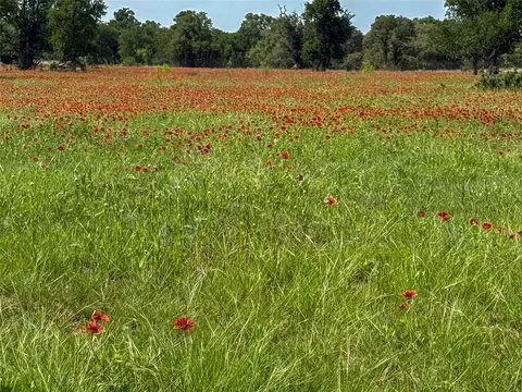 2429 County Road 411 W, Brownwood, TX 76801