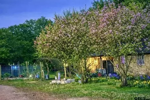 3640 Van Zandt County Road 4907, Ben Wheeler, TX 75754