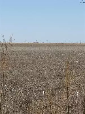 tbd Cr 168, Haskell, TX 75921 photo 5