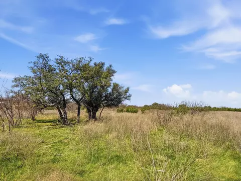 lot17 Ph 1 Pr 4218, Evant, TX 76525