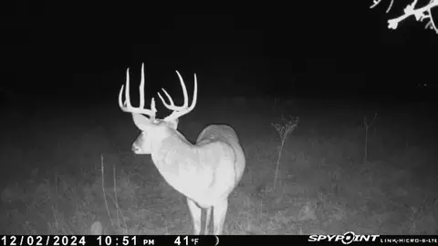 tbd County Road 343, Dublin, TX 76446