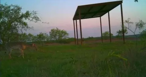 1838 County Road 343, Dublin, TX 76446
