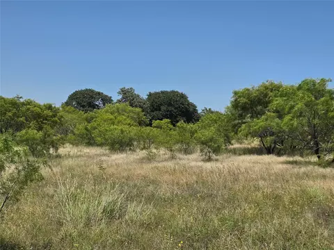1000 County Road 375, Rising Star, TX 76471