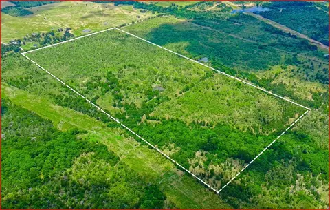 837 Fcr 995, Wortham, TX 76693