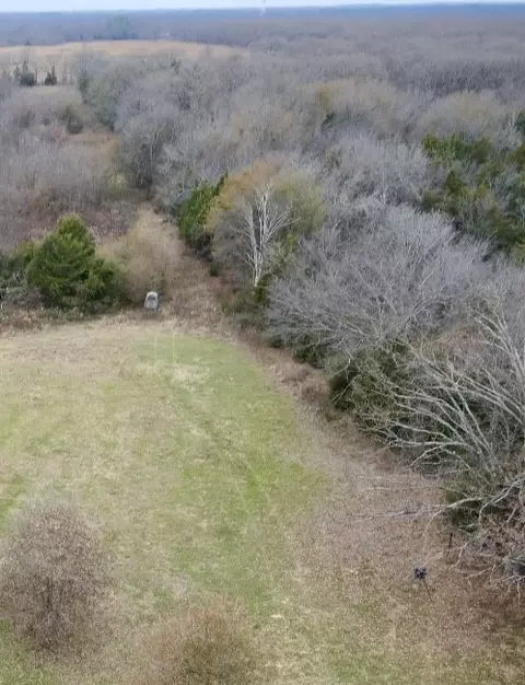 30 Acre County Road 2425, Como, TX 75431 photo 7