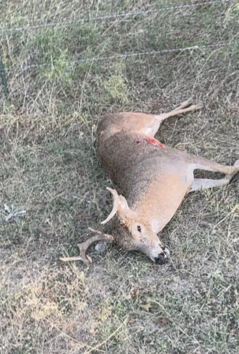 Other - 13532 Highway 36, Comanche, TX 76442 photo 12 of 12