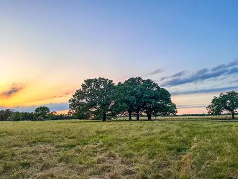 0 Cr 2245, Ivanhoe, TX 75447