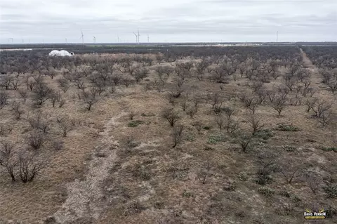 10737 I-20 W, Clyde, TX 79510 photo 13