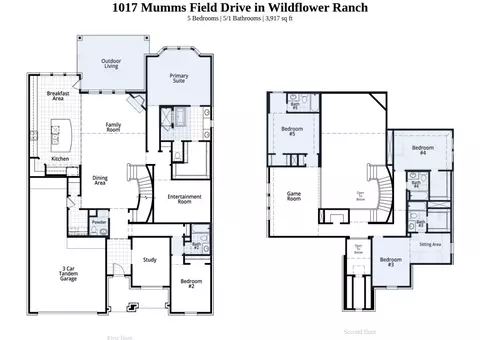 1017 Mumms Field Dr, Fort Worth, TX 76247