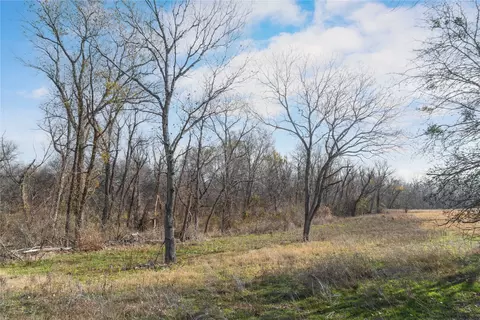60 27 Acres - Leon River County Road 446, De Leon, TX 76444 photo 24