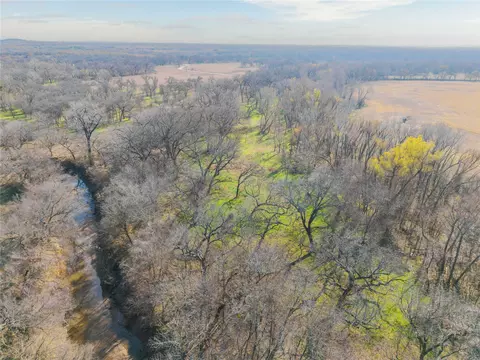 60 27 Acres - Leon River County Road 446, De Leon, TX 76444 photo 18
