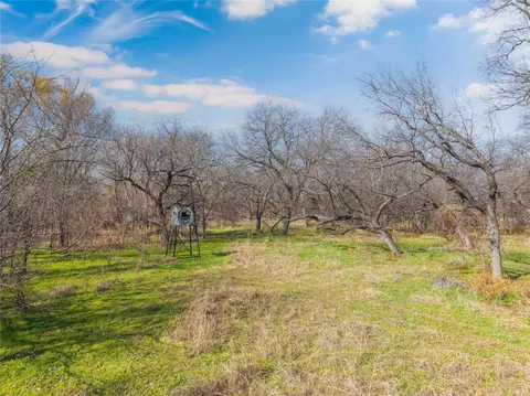 60 27 Acres - Leon River County Road 446, De Leon, TX 76444 photo 20