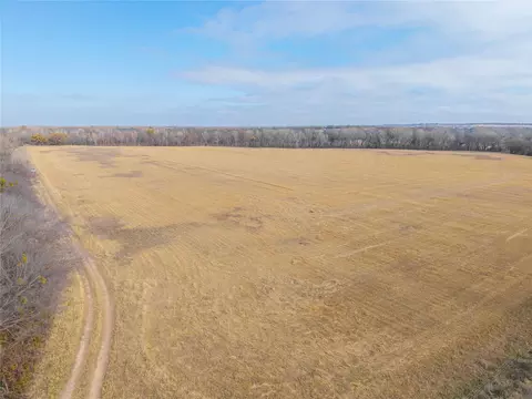 60 27 Acres - Leon River County Road 446, De Leon, TX 76444 photo 5