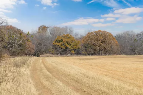 60 27 Acres - Leon River County Road 446, De Leon, TX 76444 photo 21