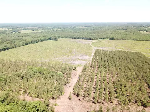 Off Cr 4290, Simms, TX 75574