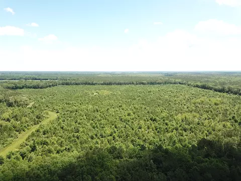00 County Road 4223, Simms, TX 75574